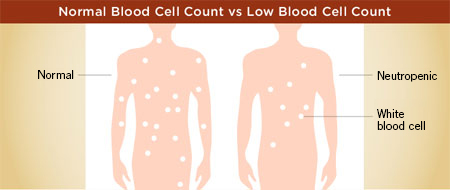 Normal Blood Cell Count vs Low Blood Cell Count